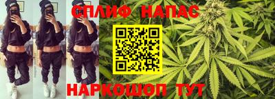 крисы Дубна