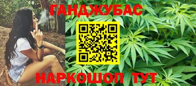крисы Дубна