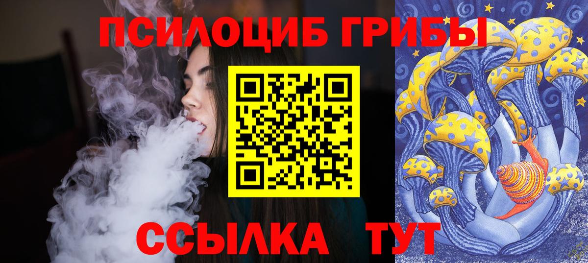 Псилоцибиновые грибы Psilocybe Красноярск